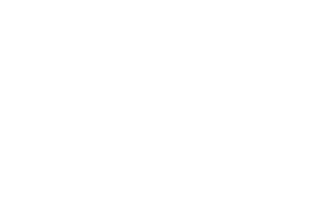 Van Escape